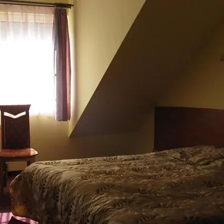 Mieszko Centrum Przy Deptaku 2*